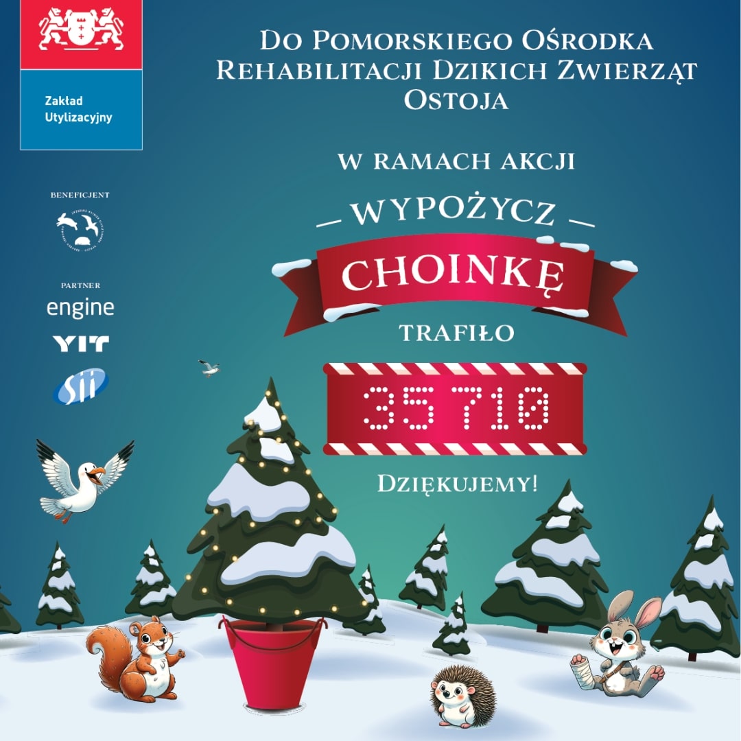 Posumowanie akcji Wypożycz choinkę 2023